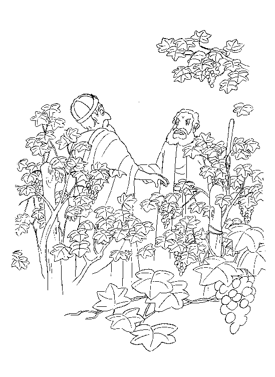 Plansa de colorat cu Biblia Ilustrata 55